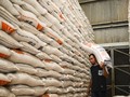 Cadangan Melimpah, Bulog Rem Penyerapan Beras Petani