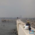 Ada Kendala, Begini Kabar Proyek Tanggul Raksasa Pantai DKI
