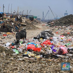 Kena Cukai, Yakin Penggunaan Kantong Plastik Bakal Turun?