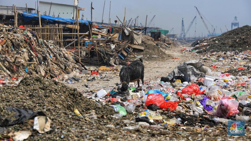 Hamparan itu membuat jalanan di pinggiran laut itu didominasi oleh sampah.