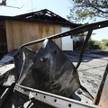 Di Hari Kemerdekaan AS, Gempa Dahsyat Guncang California