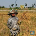 Petani Jadi Kunci RI "Lawan" Bank Dunia Soal Kemiskinan