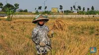 Petani Jadi Kunci RI Lawan Bank Dunia Soal Kemiskinan