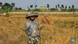 Petani Jadi Kunci RI 