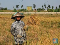 Petani Jadi Kunci RI 