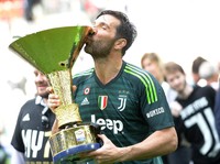 Cinta Membawa Buffon Kembali ke Nyonya Tua