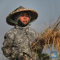 Duh Sedih... Daya Beli Petani, Buruh dan ART Makin Merosot