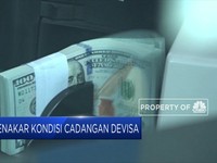Menakar Kondisi Cadangan Devisa