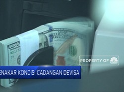Menakar Kondisi Cadangan Devisa