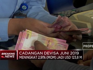Cadev Juni 2019 Meningkat Jadi USD 123,8 M