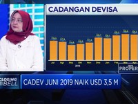 Meski Naik, Analis Menilai Cadev Kurang Sehat