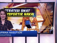 Strategi Sikat Eksportir Nakal