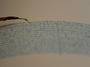 Gempa M 4,1 Terjadi di Nduga Papua