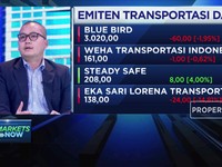 Mlempem, Kinerja Emiten Transportasi Darat