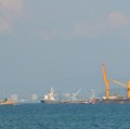 Sudah Ada Tol Laut, Disparitas Harga Pangan Kok Masih Tinggi?