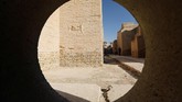 Setelah penetapan ini, pemerintah Irak akan mengalokasikan dana untuk menggencarkan upaya konservasi. (REUTERS/Thaier Al-Sudani)