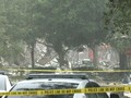 VIDEO: Ledakan di Mal Florida, Puluhan Orang Luka