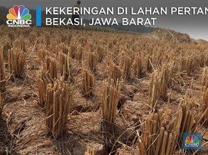 Bekasi Kemarau, Warga Sampai Mandi dan Cuci Baju di Kali