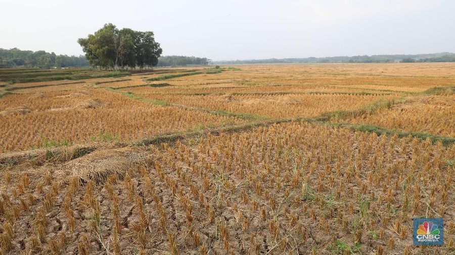 Pajak progresif diusulkan akan berlaku bagi pemilik lahan lebih dari satu bidang.