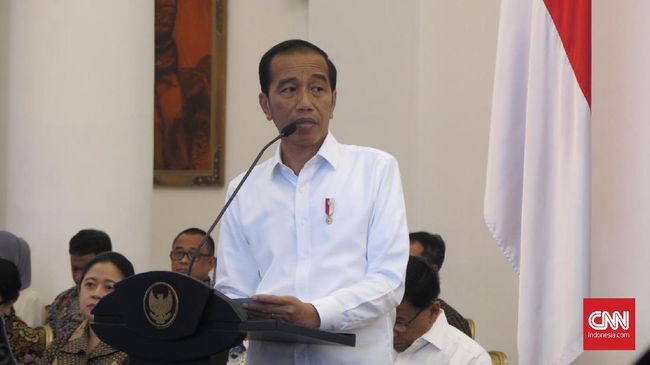 Jokowi Janji Secepatnya Putuskan Amnesti untuk Baiq Nuril
