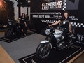 Berburu Motor Triumph Edisi Terbatas