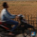 Ngeri Krisis Pangan, RI Genjot 1,8 Juta Ha Lahan Pertanian