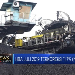 HBA Juli 2019 Terkoreksi 11,7%