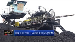 HBA Juli 2019 Terkoreksi 11,7%