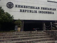 Kementan Klarifikasi Produksi Beras Pemerintah