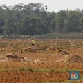 Nih Penjelasan Menteri ATR Soal Wacana Pajak Progresif Tanah