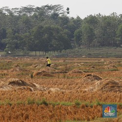 Nih Penjelasan Menteri ATR Soal Wacana Pajak Progresif Tanah