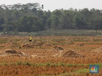 Nih Penjelasan Menteri ATR Soal Wacana Pajak Progresif Tanah