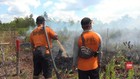 VIDEO: Kebakaran Lahan Gambut Masih Terjadi di Palangka Raya