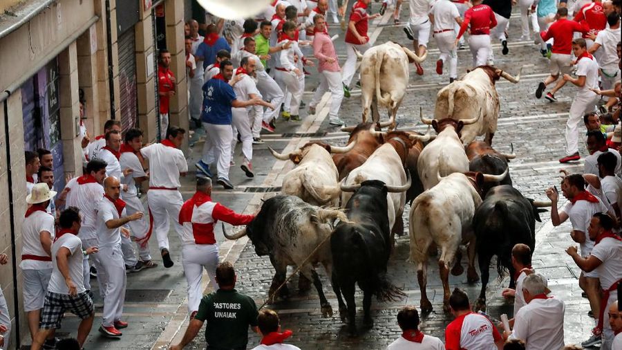 San Fermin dimulai setiap pagi pukul 08.00 waktu setempat mulai dari Sabtu hingga delapan hari ke depan.