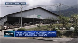 Greenfields Pasok 11% Kebutuhan Susu Nasional