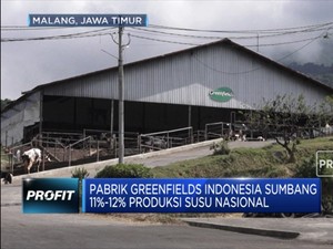 Greenfields Pasok 11% Kebutuhan Susu Nasional