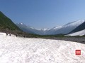 VIDEO: Suhu Alaska Capai 32 Derajat Celsius