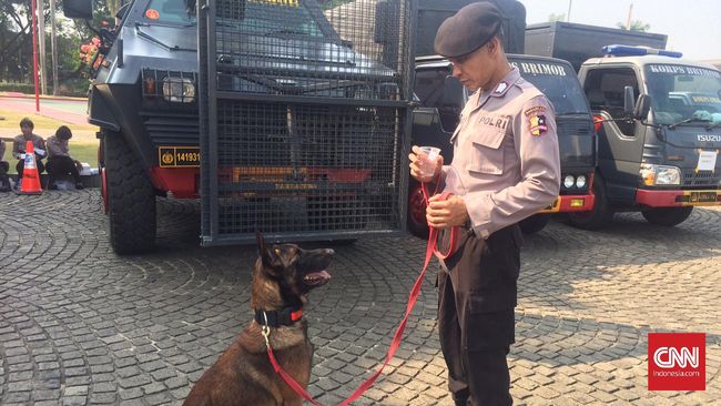 43++ Anjing pelacak polisi indonesia new