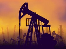 Proyek Raksasa Ini Jadi Andalan Transisi Energi RI