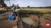 Ujang, warga Cibarusah mengambil air dari kolam penampungan air yang dibuat warga secara swadaya di Desa Sirna Jati, Cibarusah, Kabupaten Bekasi, Jawa Barat, Rabu (10/7). (CNNIndonesia/Safir Makki)