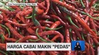 VIDEO: Harga Cabai Makin