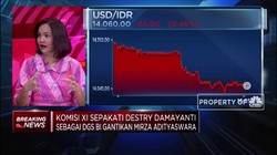 Destry Damayanti Sah Gantikan Mirza Adityaswara