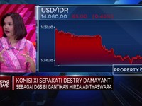 Destry Damayanti Sah Gantikan Mirza Adityaswara