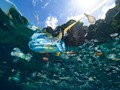 Populer untuk Selfie, Danau Cantik Ternyata Pembuangan Limbah
