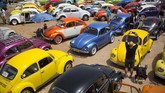 Kumpulan penggemar Volkswagen Beetles di acara tahunan