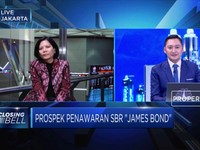 Investor Millennial Minati SBR007