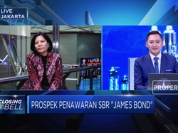 Investor Millennial Minati SBR007