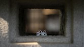 Itu sebabnya, manekineko yang berwujud kucing ini dianggap sebagai pembawa keberuntungan.