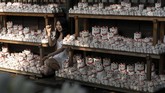 Konon manekineko berasal dari daerah tempat Kuil Gotokuji berada.