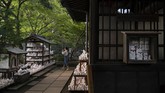 Setiap daerah di Jepang memiliki kuil lokal dengan patung manekineko di dalamnya, tapi jumlahnya tidak sebanyak patung manekineko yang ada di Kuil Gotokuji.